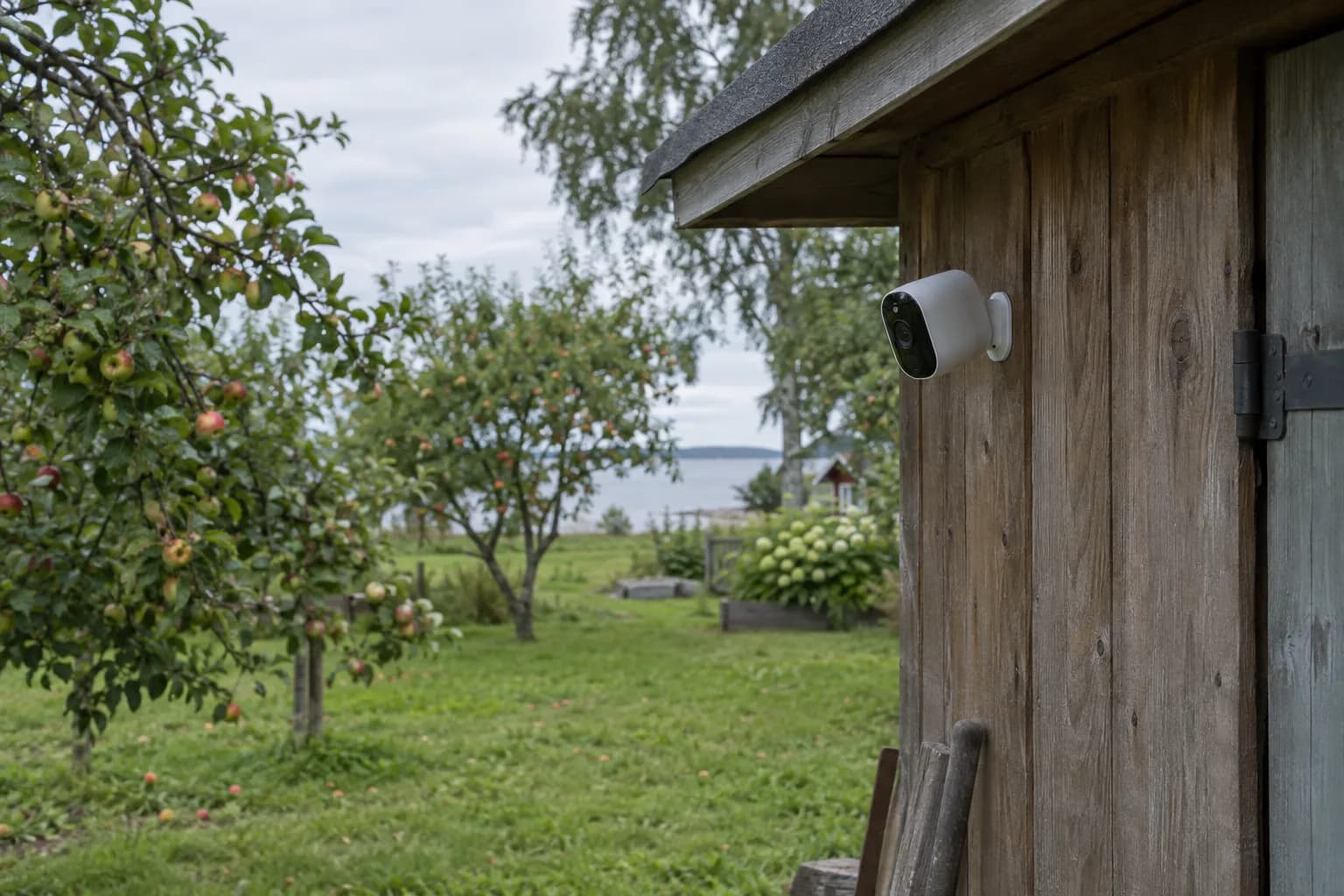 Väike akuga valvekaamera suvila kuuri puitseinal, ümber õunapuud